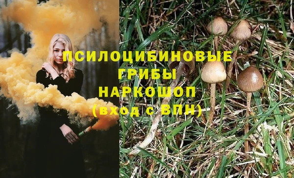 трава Арсеньев